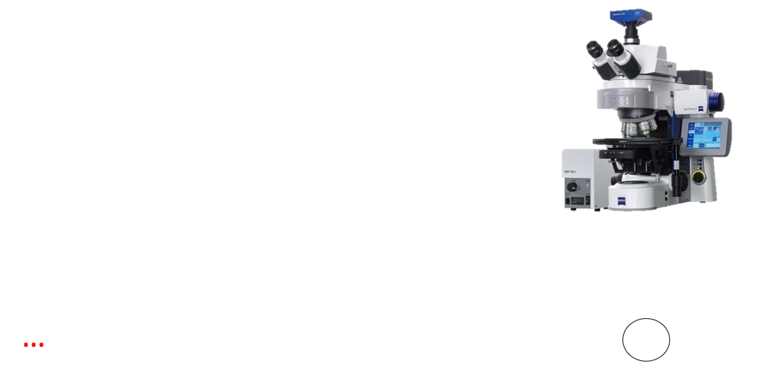 Axio Imager Z2 with Apotome