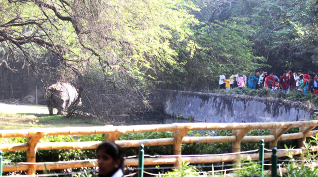 Saving endangered species, one DNA sample at a time: Here is Delhi Zoo’s new conservation plan