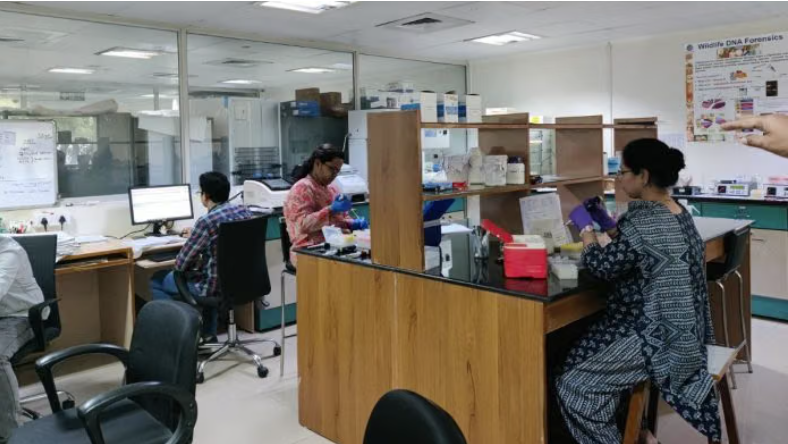 Inside CCMB Hyderabad—where scientists turn elephant blood, tiger bones into criminal evidence